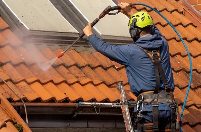 Démoussage et hydrofuge de toiture à Vouillon